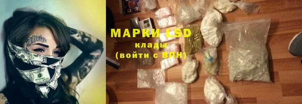 стаф Аркадак