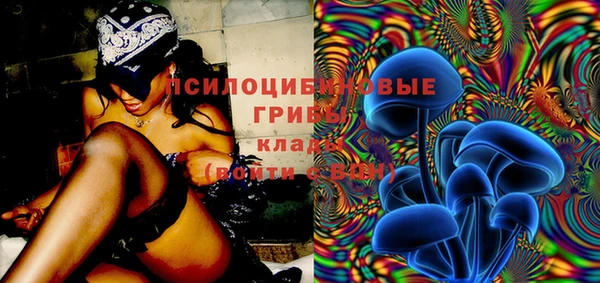 стаф Аркадак