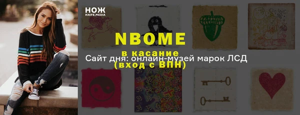 стаф Аркадак