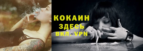 стафф Арсеньев