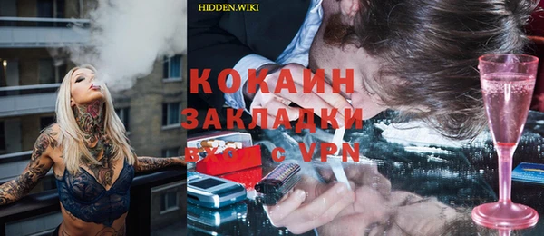 стаф Аркадак