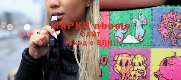 стаф Аркадак