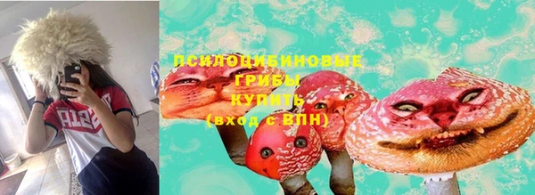 стафф Арсеньев