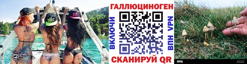 Псилоцибиновые грибы мухоморы  закладки  Ужур 