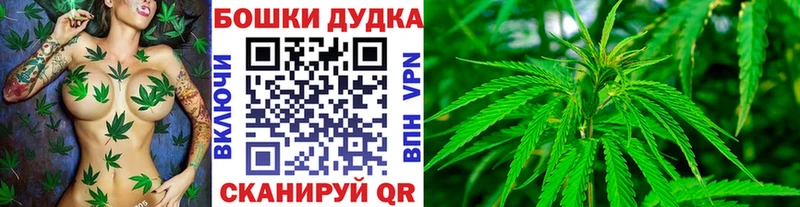 Бошки Шишки конопля  Ужур 